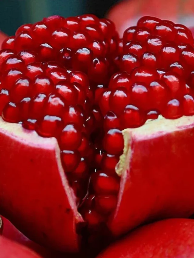 5-red-anar-pomegranate-fruit-seeds-r6331-aywal-original-imagtggwaee4fgkp