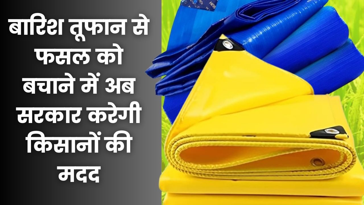 बारिश तूफान से फसल को बचाने में अब सरकार करेगी किसानों की मदद