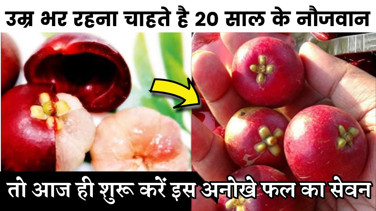 उम्र भर रहना चाहते है 20 साल के नौजवान