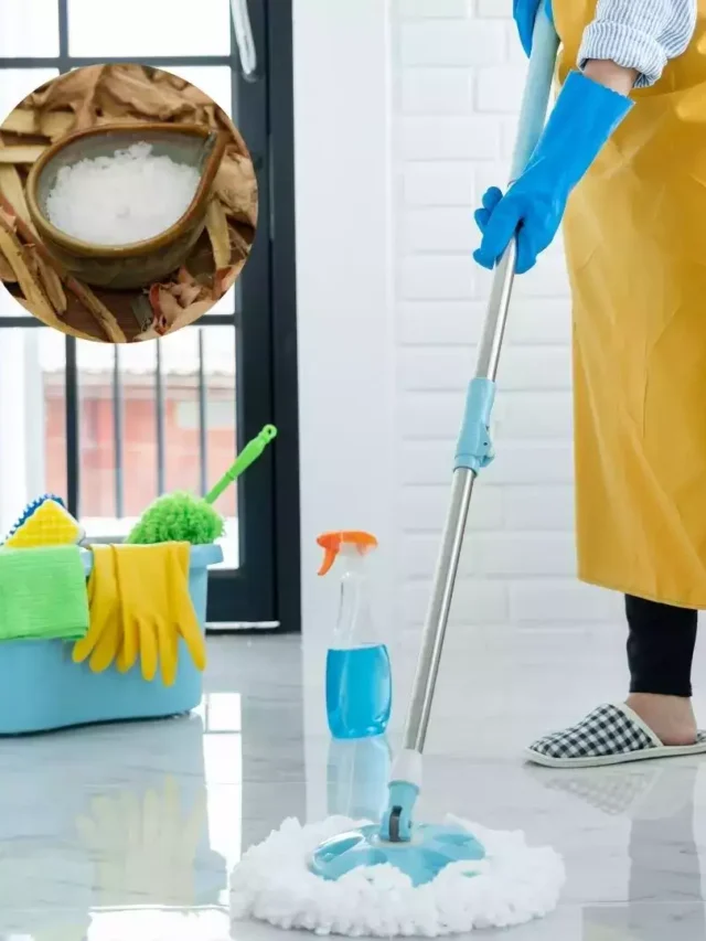 पोछे के पानी में मिला दें ये सफेद चीज, नहीं पड़ेगी बाजार से फिनायल और क्लीनिंग स्प्रे लाने की जरूरत।