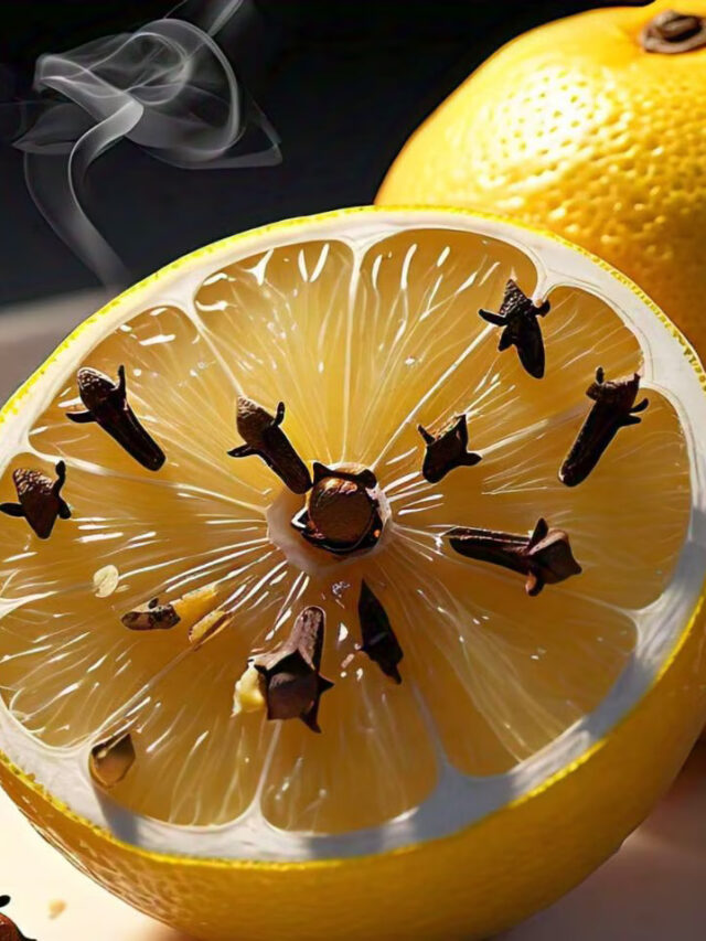 मच्छरों को घर छोड़कर भागने पर मजबूर कर देगा नींबू में लौंग घुसाने वाला ये देसी जुगाड़।