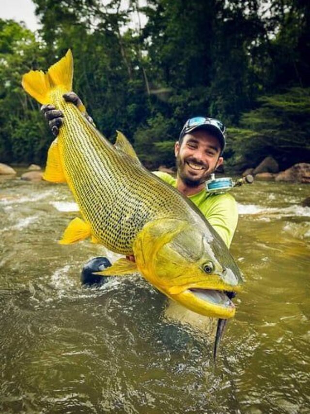 मछलियों का साइज और संख्या डबल करने में काम आएगा यह देसी जुगाड़।