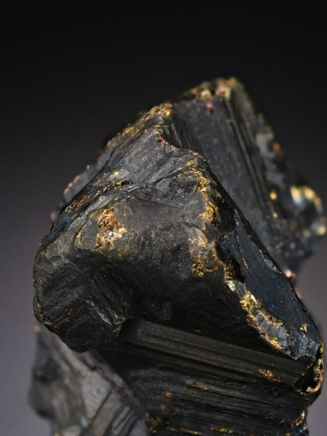 पत्थर की तरह दिखने वाली ये चीज सालों पुराने जोड़ों के दर्द को कर देगी चुटकियों में दूर