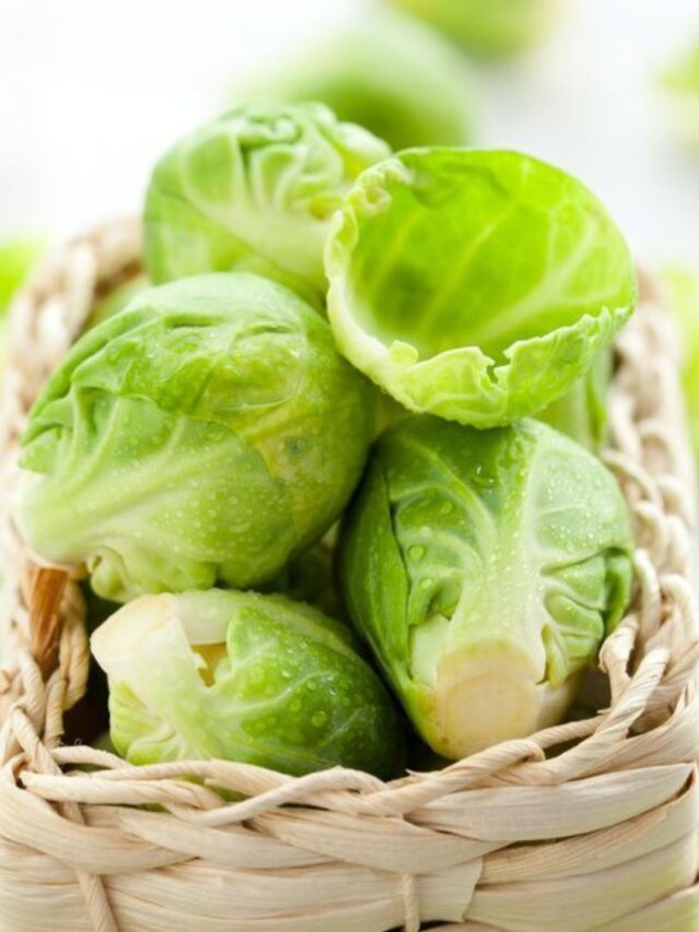 बड़े चाव से खाते हैं पत्ता गोभी की डिशेस, नुकसान जानकर आपके भी पैरों तले खिसक जाएगी जमीन।
