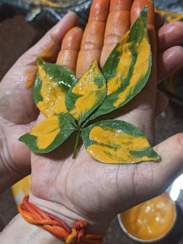 इस दिन भूलकर भी ना तोड़े बेलपत्र, जाने क्या है इसे तोड़ने से संबंधित नियम।