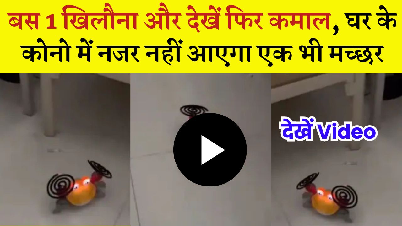 बस 1 खिलौना और देखें फिर कमाल, घर के कोनो में नजर नहीं आएगा एक भी मच्छर