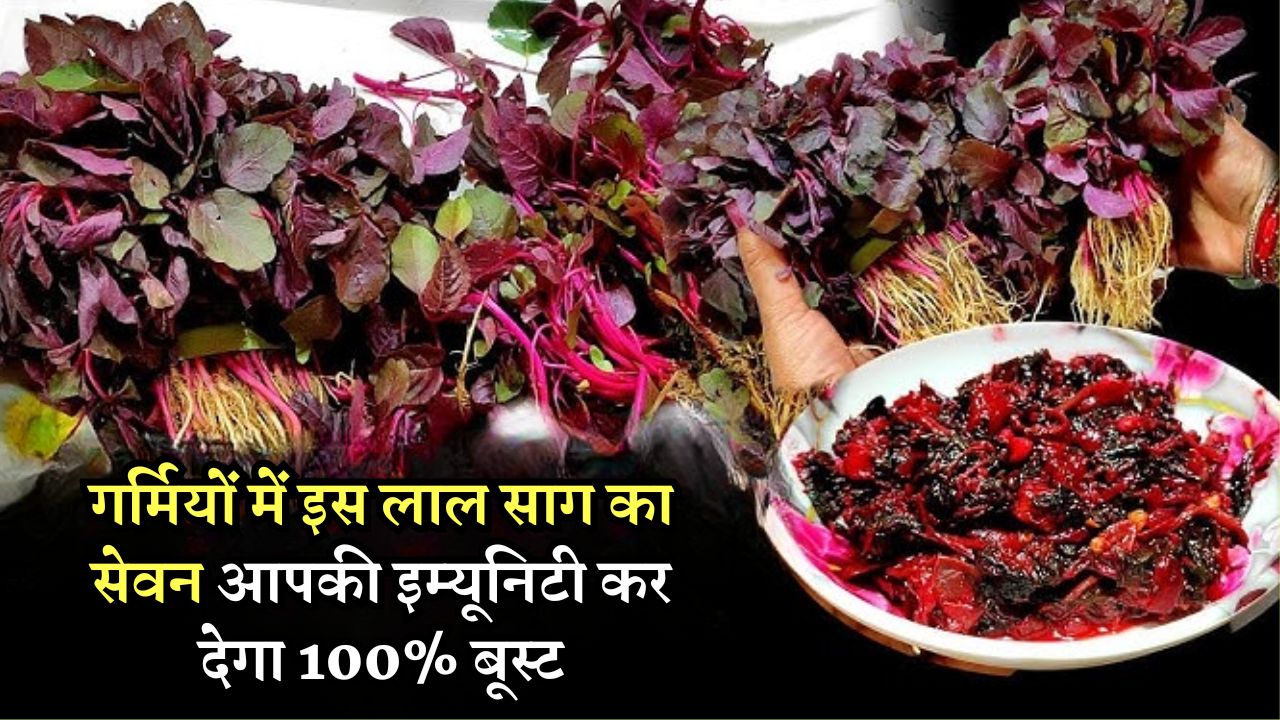 गर्मियों में इस लाल साग का सेवन आपकी इम्यूनिटी कर देगा 100% बूस्ट