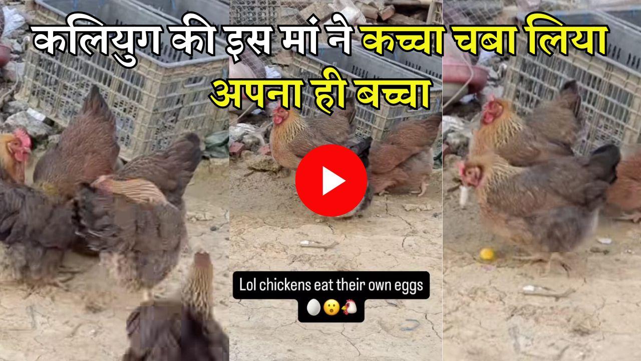 Viral Video