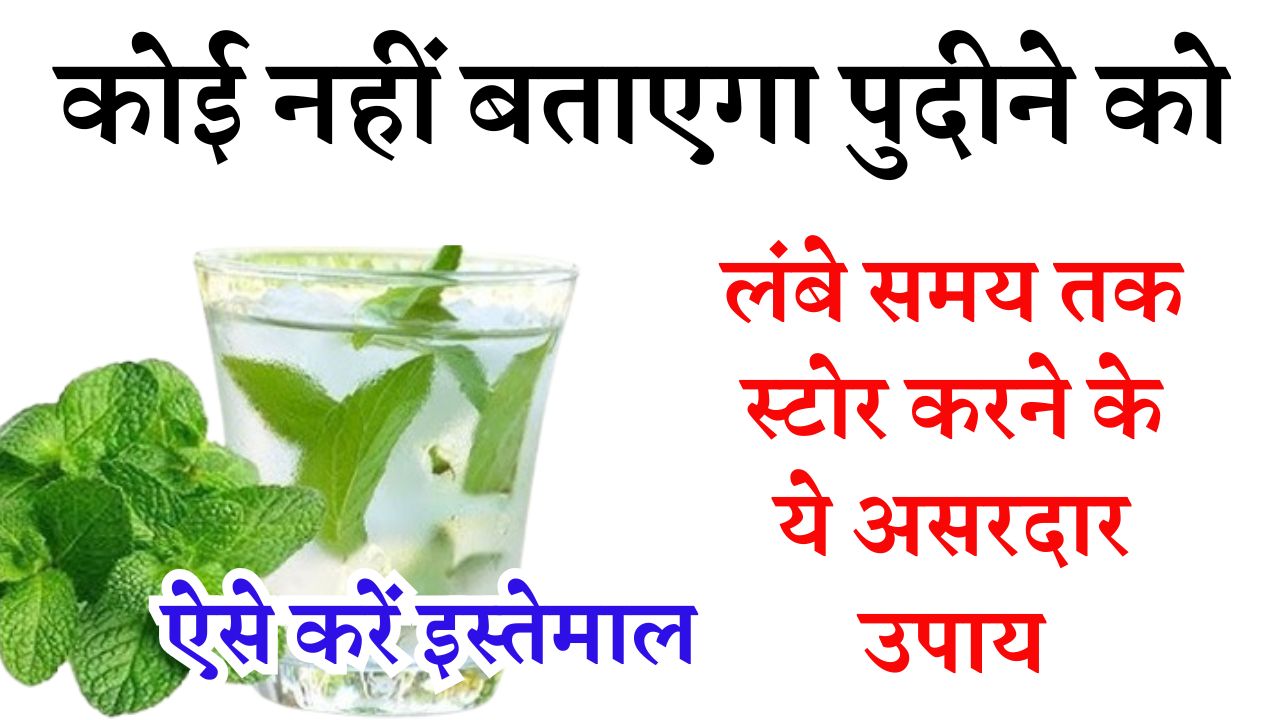 कोई नहीं बताएगा पुदीने को लंबे समय तक स्टोर करने के ये असरदार उपाय