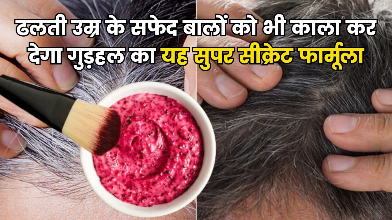 ढलती उम्र के सफेद बालों को भी काला कर देगा गुड़हल का यह सुपर सीक्रेट फार्मूला