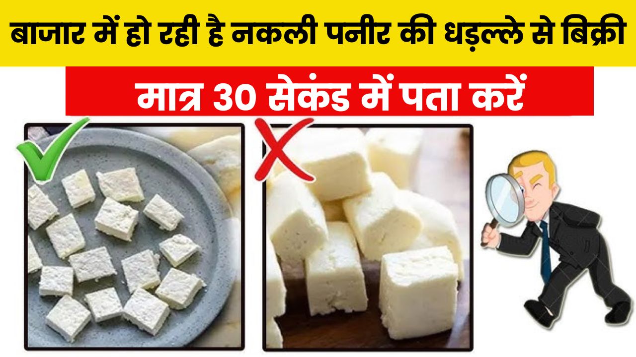 बाजार में हो रही है नकली पनीर की धड़ल्ले से बिक्री