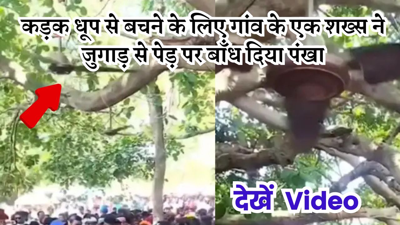कड़क धूप से बचने के लिए गांव के एक शख्स ने जुगाड़ से पेड़ पर बाँध दिया पंखा