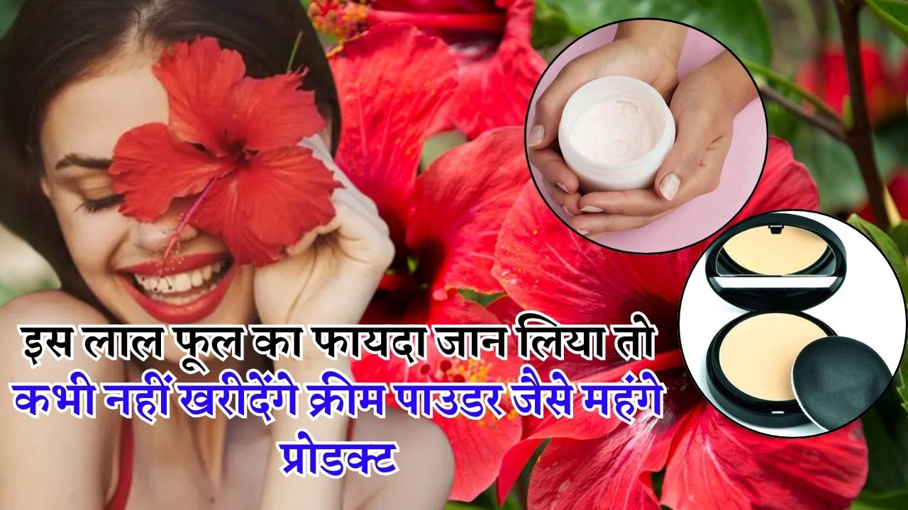 इस लाल फूल का फायदा जान लिया तो कभी नहीं खरीदेंगे क्रीम पाउडर जैसे महंगे प्रोडक्ट