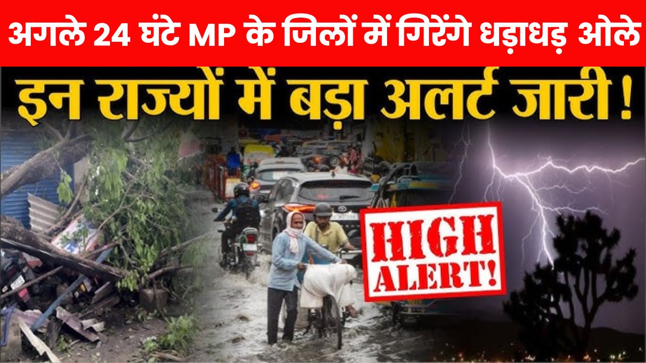 IMD Weather Alert