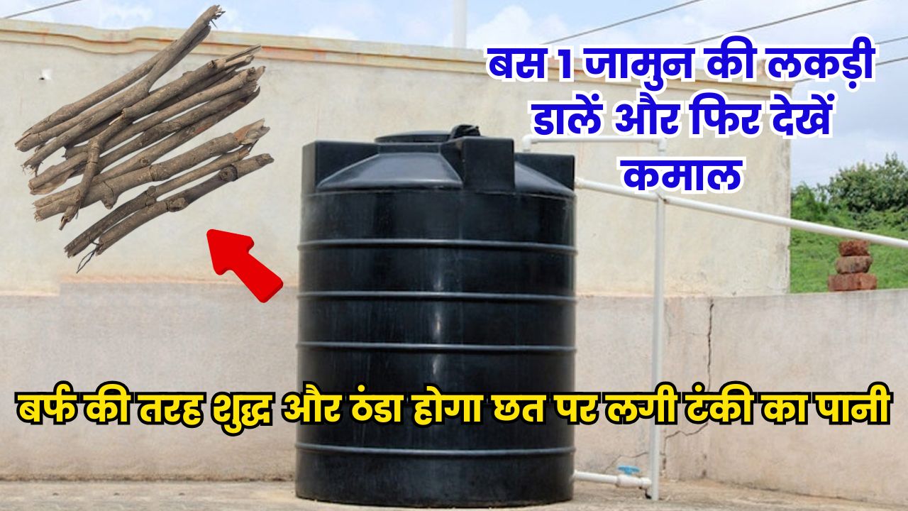 बस 1 जामुन की लकड़ी डालें और फिर देखें कमाल, बर्फ की तरह शुद्ध और ठंडा होगा छत पर लगी टंकी का पानी