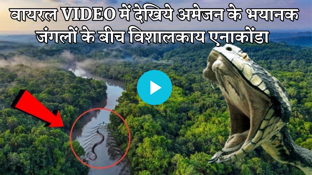 Anaconda Viral Video