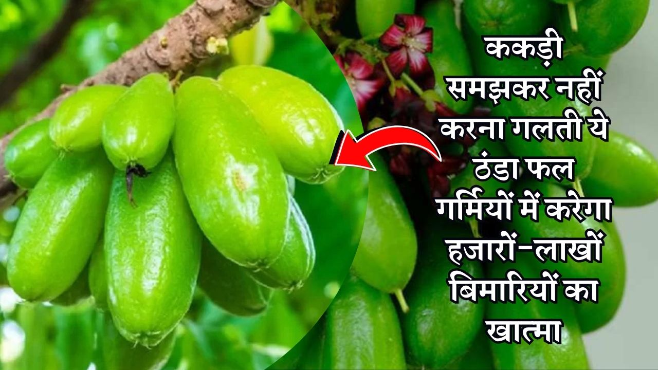 ककड़ी समझकर नहीं करना गलती