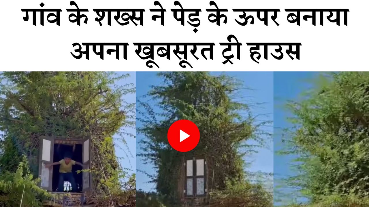 गांव के शख्स ने पेड़ के ऊपर बनाया अपना खूबसूरत ट्री हाउस