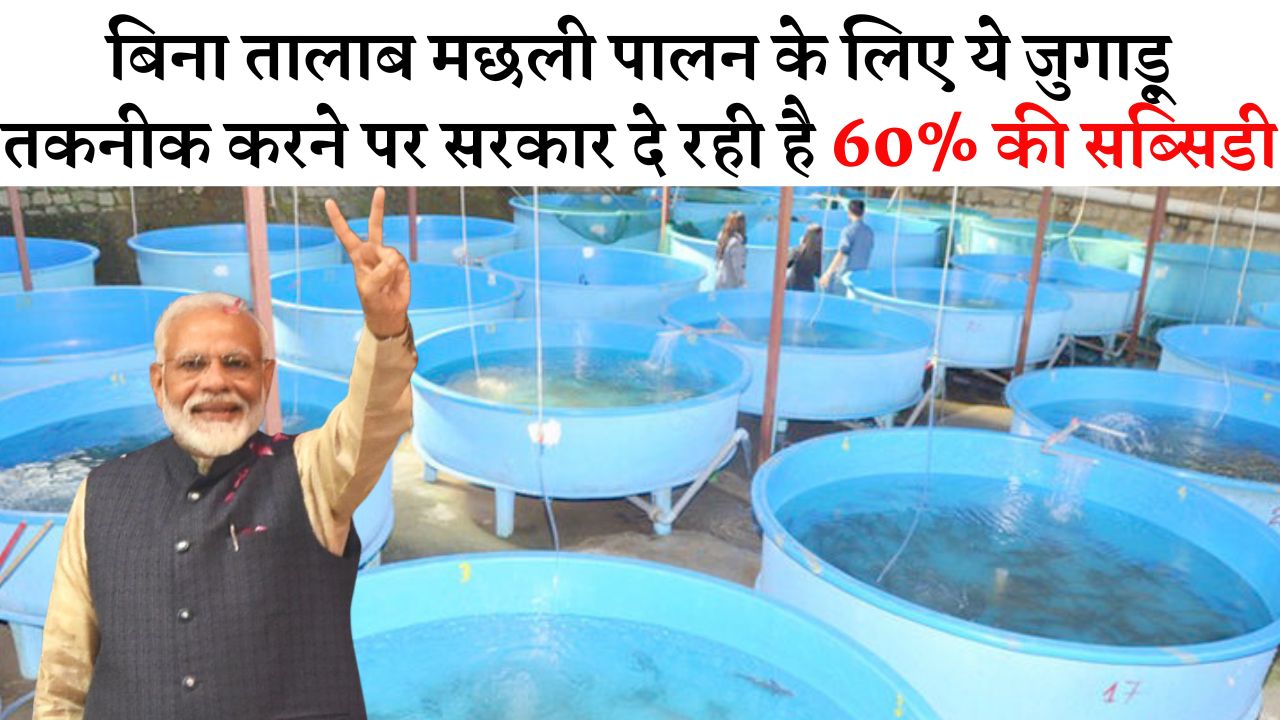 बिना तालाब मछली पालन के लिए ये जुगाड़ू तकनीक