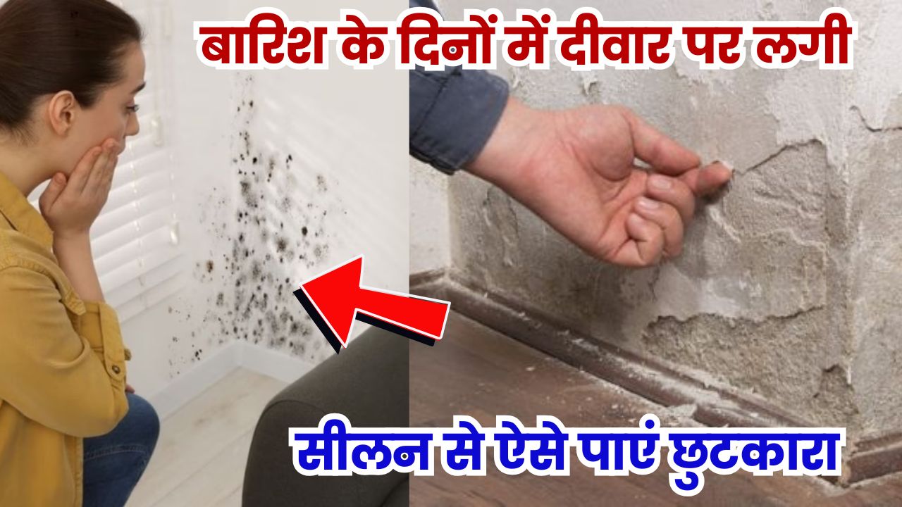 बारिश के दिनों में क्या आपकी दीवारों को भी खराब कर रही है सीलन