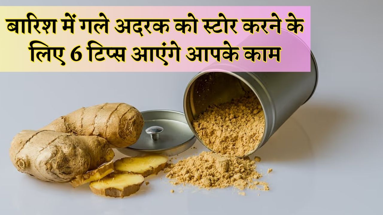 बारिश में गले अदरक को स्टोर करने के लिए 6 टिप्स आएंगे आपके काम