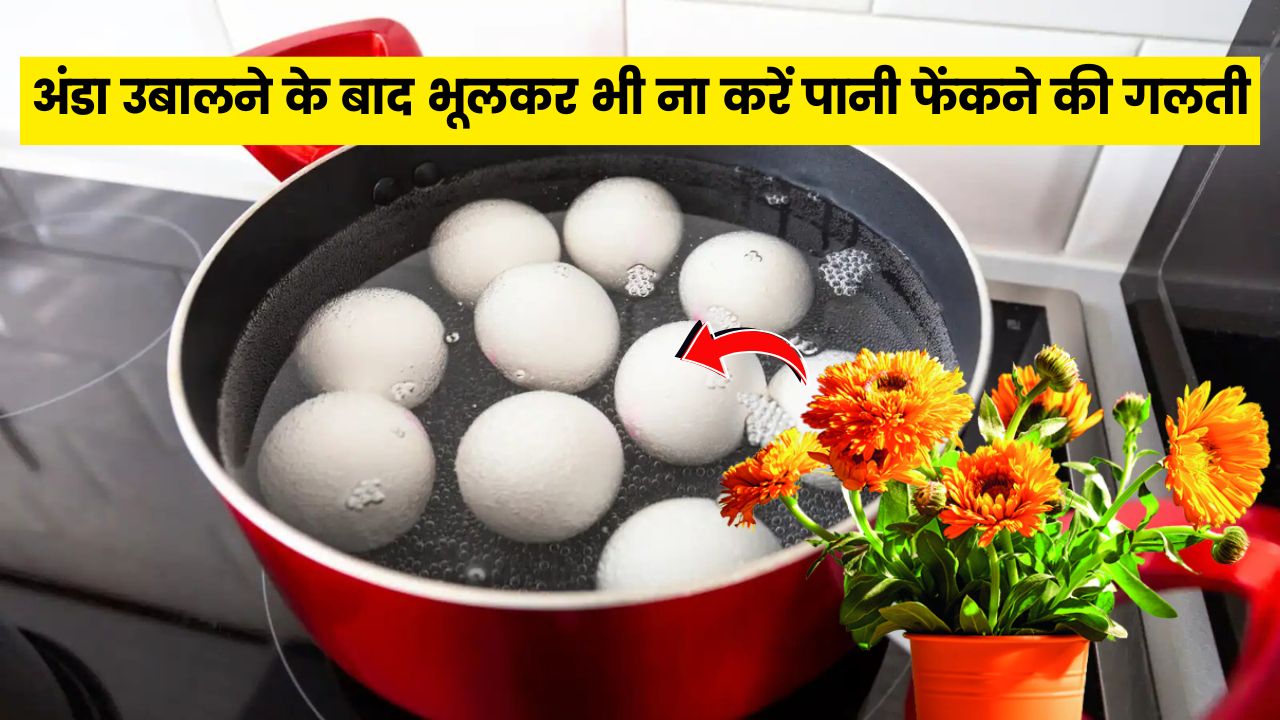 अंडा उबालने के बाद भूलकर भी ना करें पानी फेंकने की गलती