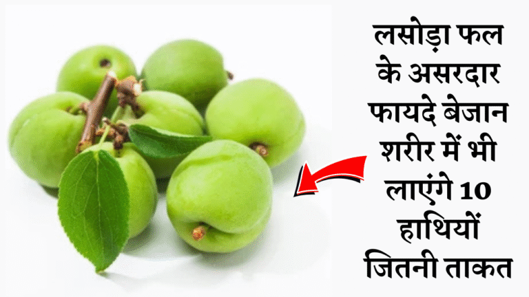 लसोड़ा फल के असरदार फायदे बेजान शरीर में भी लाएंगे 10 हाथियों जितनी ताकत
