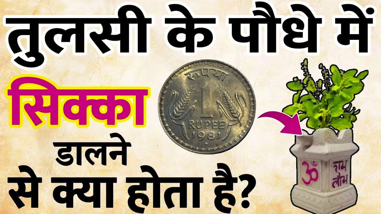 तुलसी में 1 रुपए का सिक्का डालने से होते हैं ये चमत्कारिक फायदे