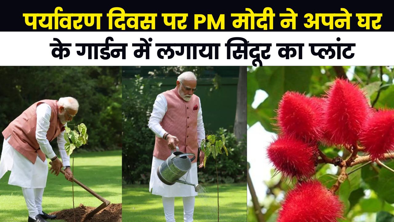 पर्यावरण दिवस पर PM मोदी ने अपने घर के गार्डन में लगाया सिंदूर का प्लांट