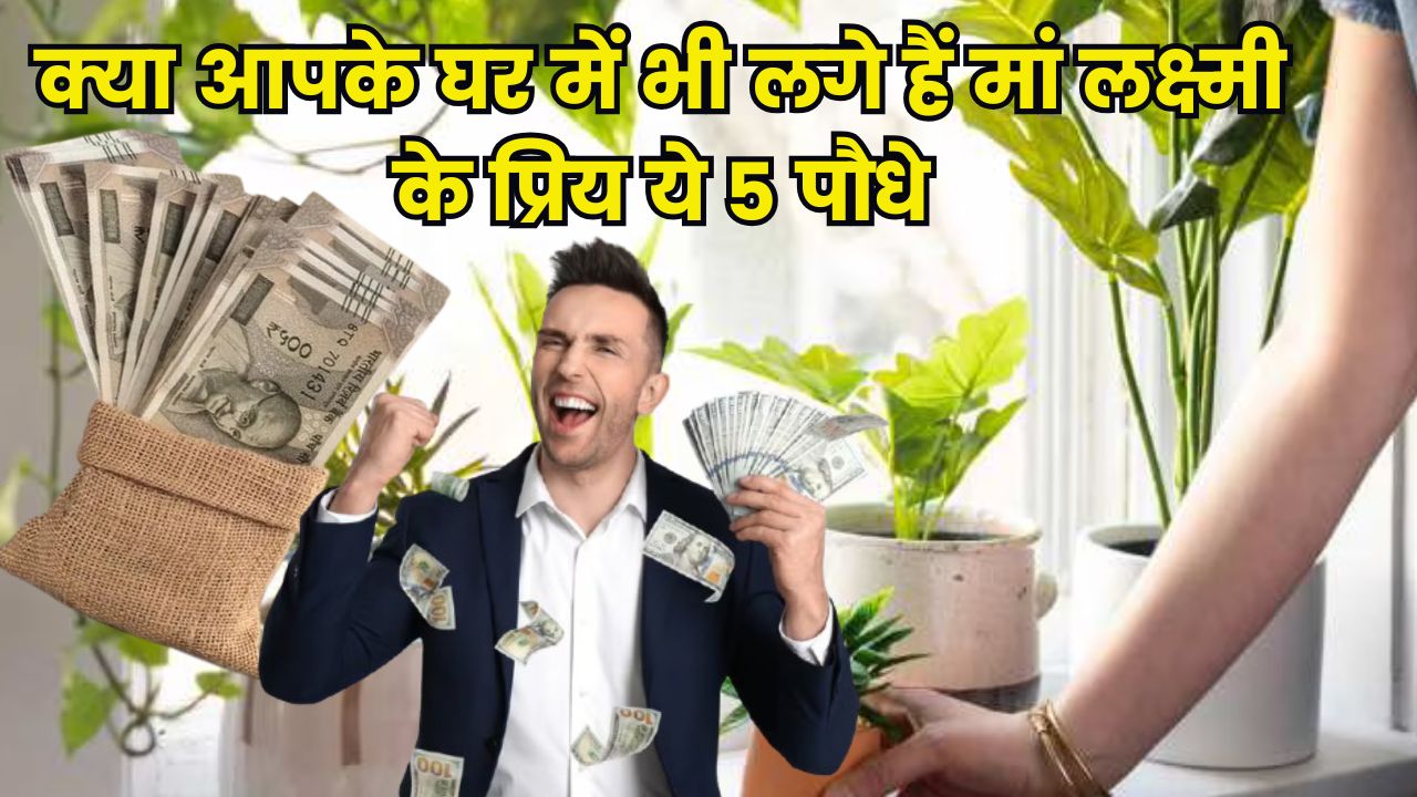 क्या आपके घर में भी लगे हैं मां लक्ष्मी के प्रिय ये 5 पौधे
