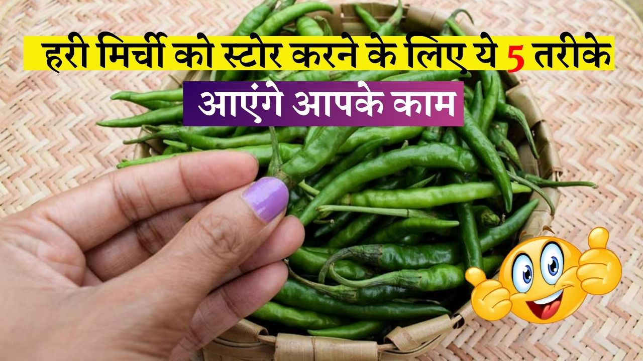 हरी मिर्ची को स्टोर करने के लिए ये 5 तरीके आएंगे आपके काम