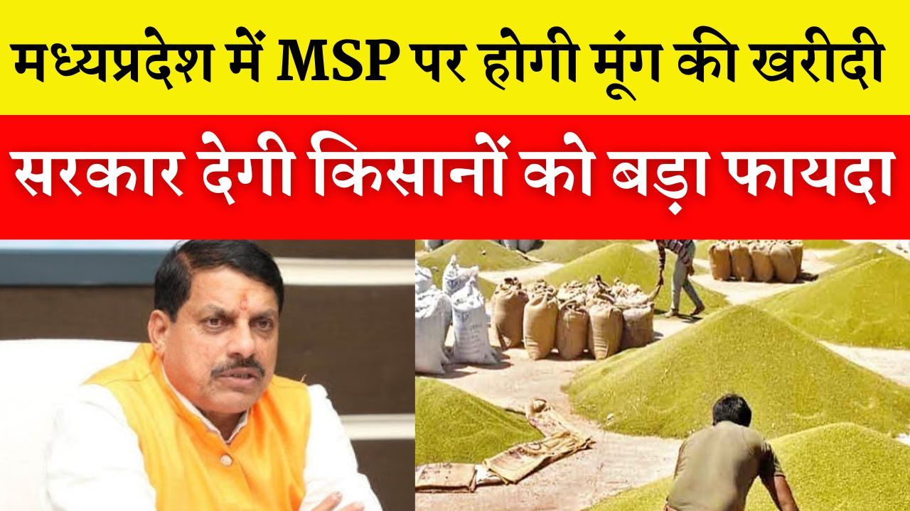 मध्यप्रदेश में समर्थन मूल्य पर मूंग की खरीदी कर रही सरकार