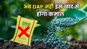 DAP को छोड़ किसान करें इस तगड़ी खाद का चुनाव