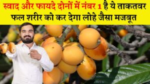 स्वाद और फायदे दोनों में नंबर 1 है ये ताकतवर फल, एक बार कर लिया सेवन तो शरीर को कर देगा लोहे जैसा मजबूत