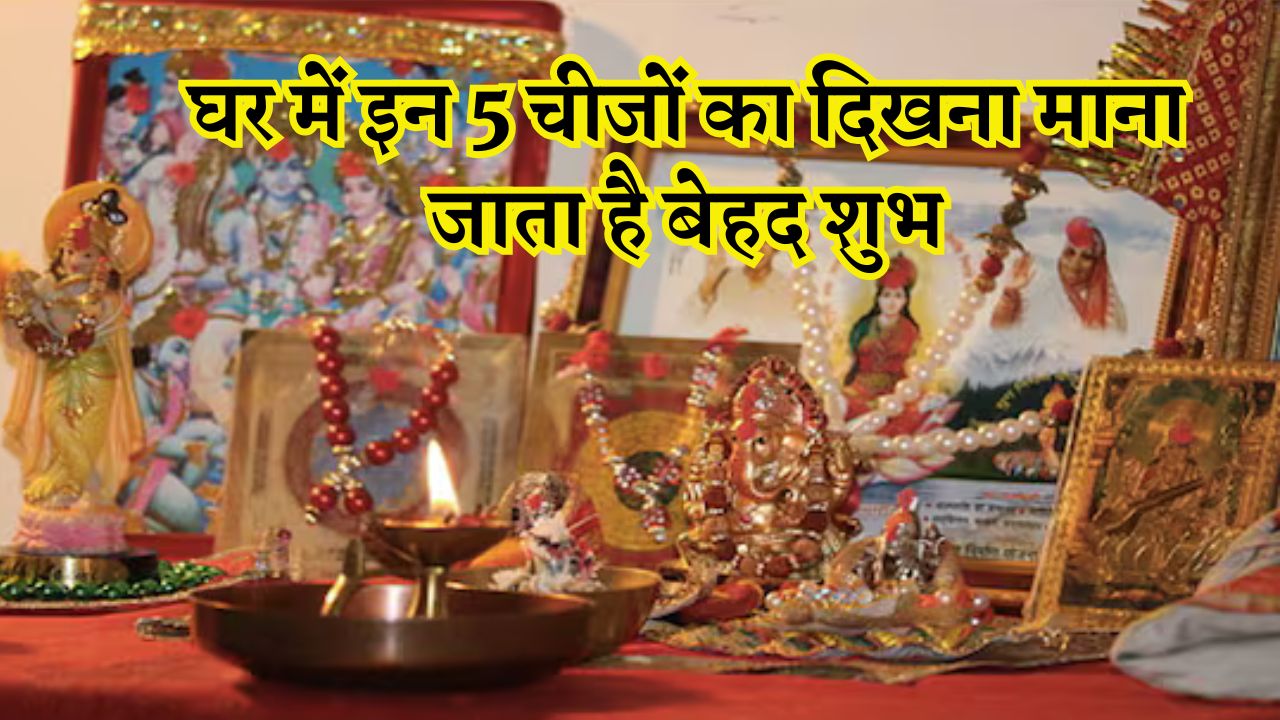 घर में इन 5 चीजों का दिखना माना जाता है बेहद शुभ