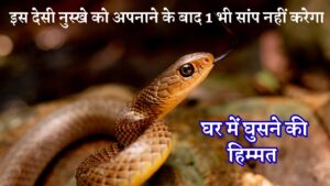 इस देसी नुस्खे को अपनाने के बाद 1 भी सांप नहीं करेगा घर में घुसने की हिम्मत