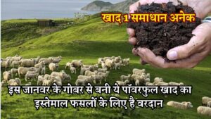 अरे वाह! खाद 1 समाधान अनेक...