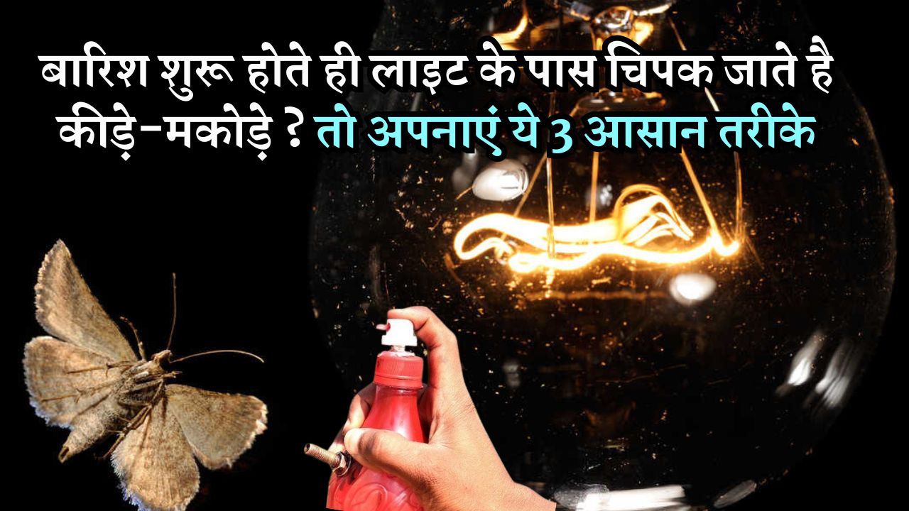 बारिश शुरू होते ही लाइट के पास चिपक जाते है कीड़े-मकोड़े ?