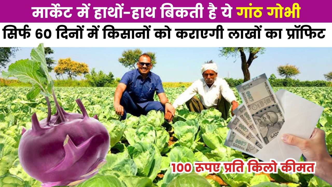 मार्केट में हाथों-हाथ बिकती है ये गांठ गोभी