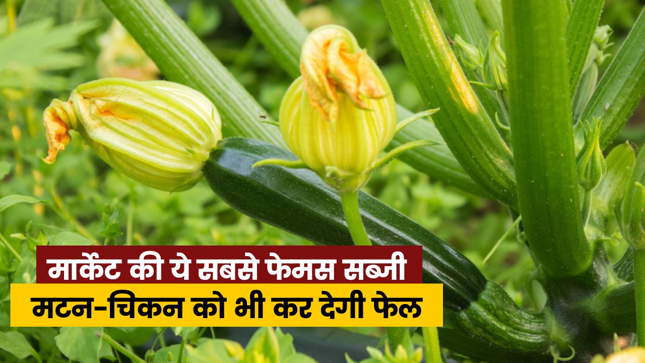 मार्केट की ये सबसे फेमस सब्जी मटन-चिकन को भी कर देगी फेल