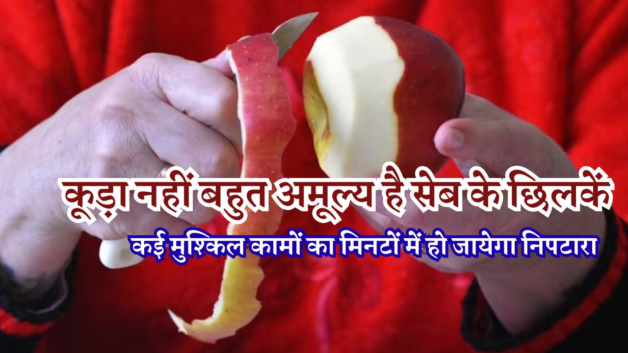 कूड़ा नहीं बहुत अमूल्य है सेब के छिलकें, घर की साफ-सफाई से लेकर कई मुश्किल कामों का मिनटों में हो जायेगा निपटारा