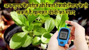 अब शुगर के मरीज भी बिना किसी टेंशन के ले सकते है खुलकर चीनी का स्वाद