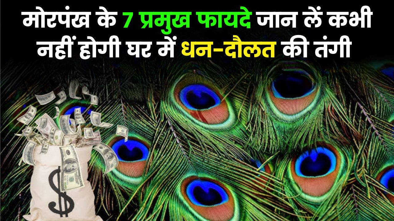 मोरपंख के ये 7 प्रमुख फायदे
