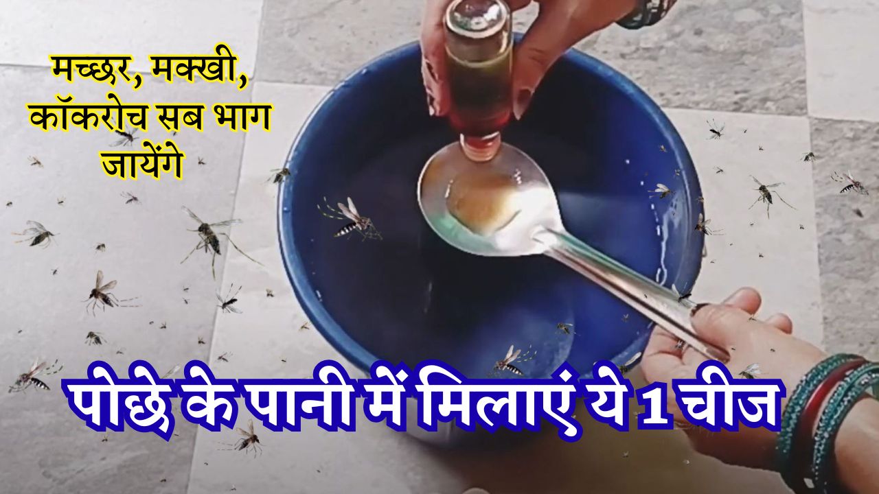 पोछे के पानी में मिलाएं ये 1 चीज, बरसात में घर से कोसों दूर भाग जायेंगे छोटे-छोटे कीड़े और मच्छर