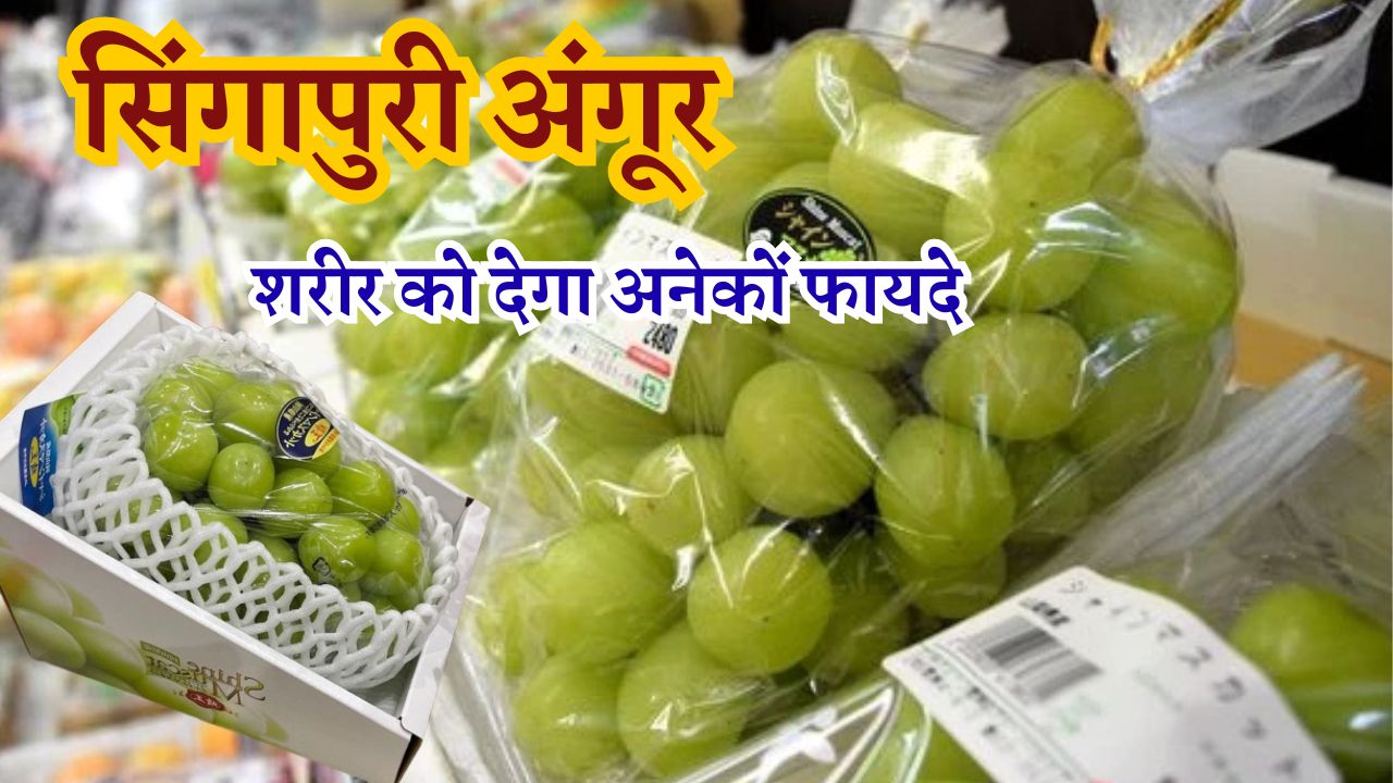 600 रूपए प्रति किलो बिकने वाला ये सिंगापुरी अंगूर