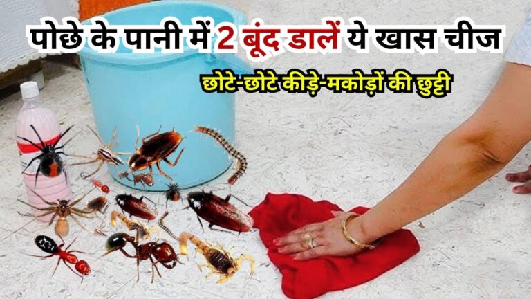 पोछे के पानी में 2 बूंद डालें ये खास चीज