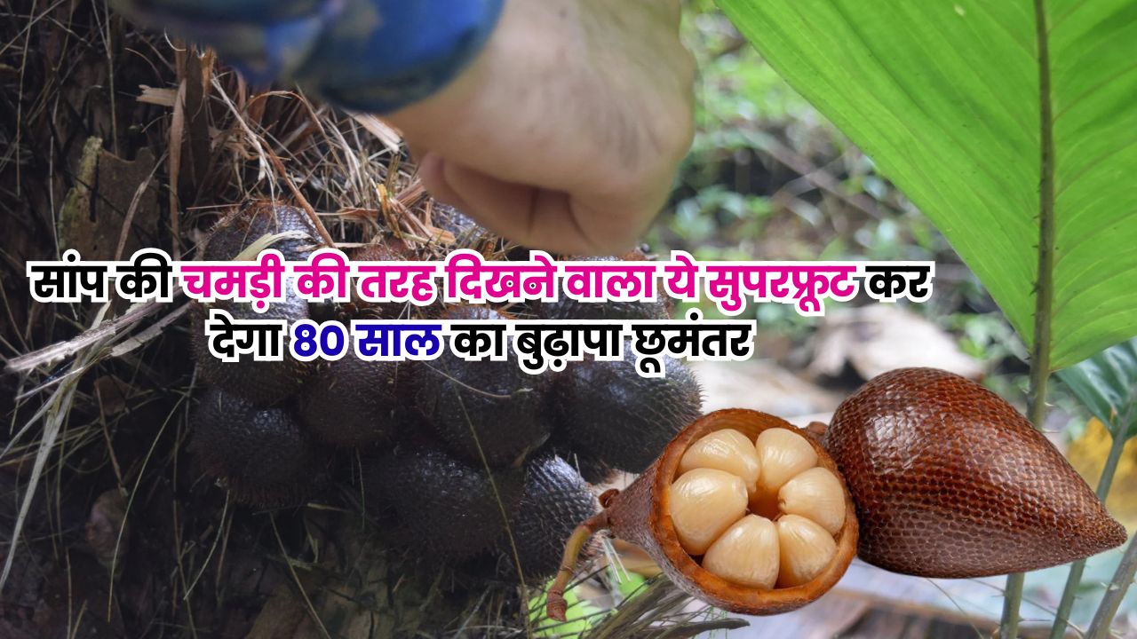 सांप की चमड़ी की तरह दिखने वाला ये सुपरफ्रूट कर देगा 80 साल का बुढ़ापा छूमंतर