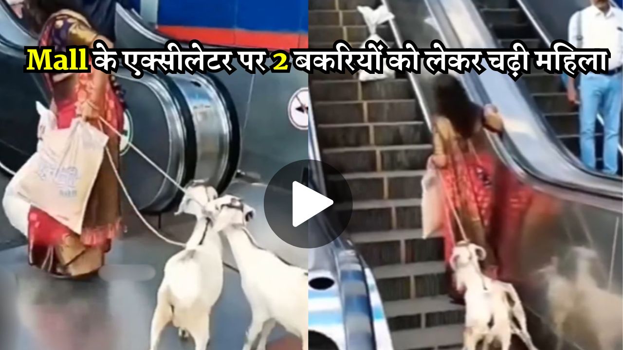 Mall के एक्सीलेटर पर 2 बकरियों को लेकर चढ़ी महिला