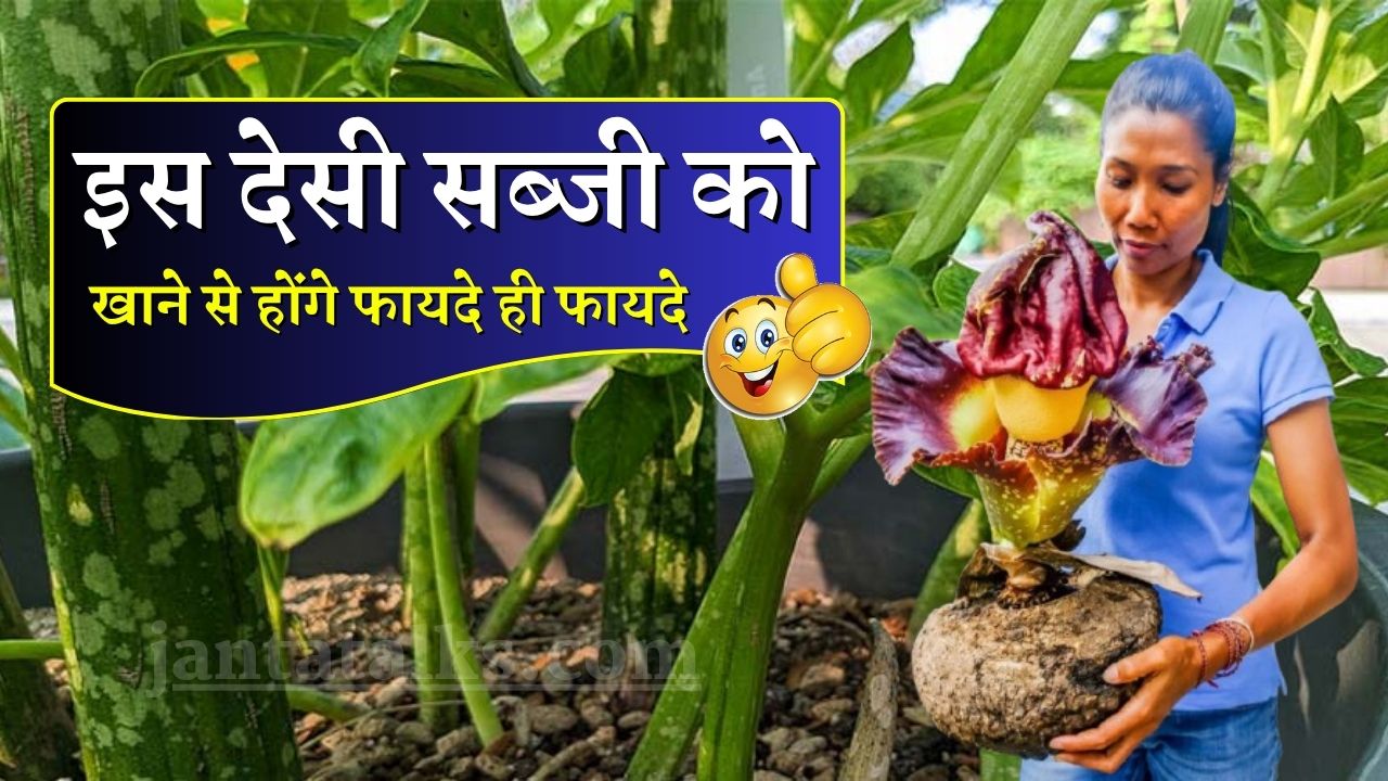 दिवाली पर लोग खूब चटकारे लेकर लेते है इस देसी सब्जी का स्वाद